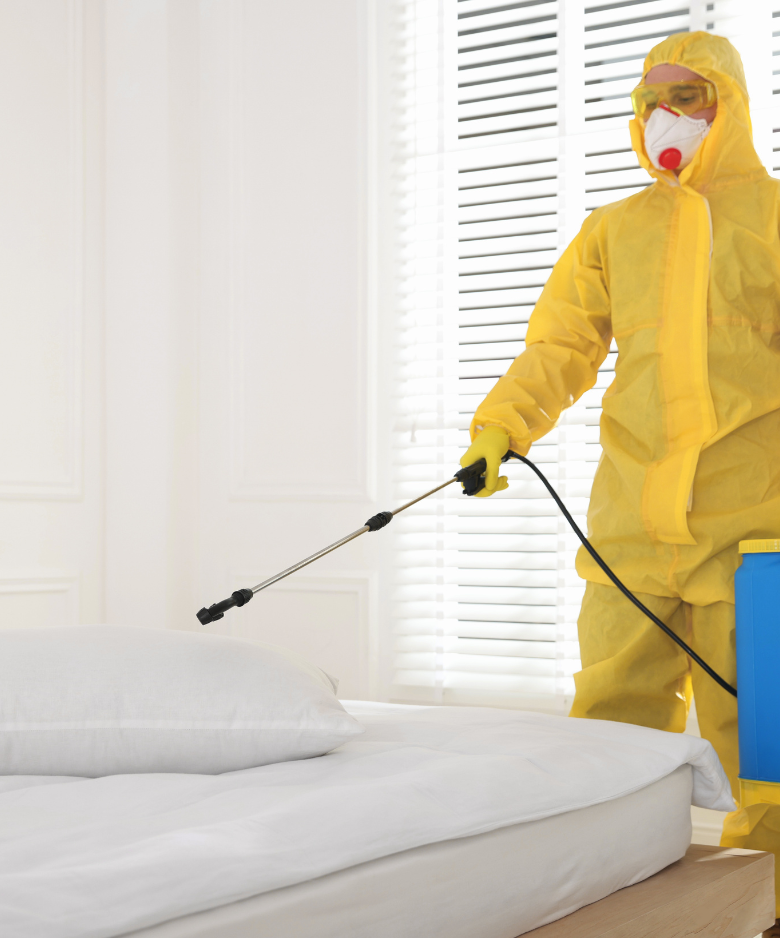 Professional Pest Control Team in Marble Hill